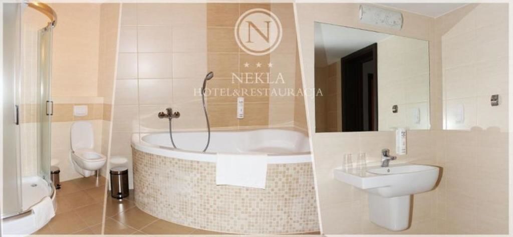 Отель Hotel Nekla Некла-47