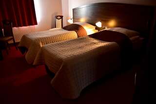 Отель Hotel Nekla Некла Двухместный номер с 1 кроватью или 2 отдельными кроватями-1